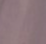 Linen-Cotton Shorts - Flared Fit