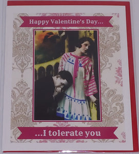 Valentine's Day Card - I Tolerate You