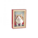 Fotoblock Photo Display